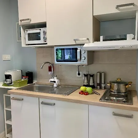 Apartment Mara's Terrace - Marini Dvori / 4 Pax *